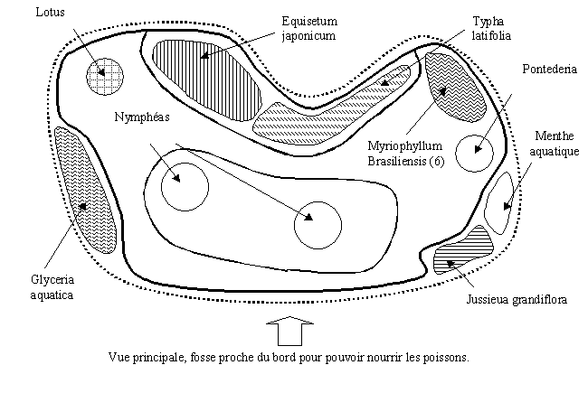 Aménagement de bassin d'agrément