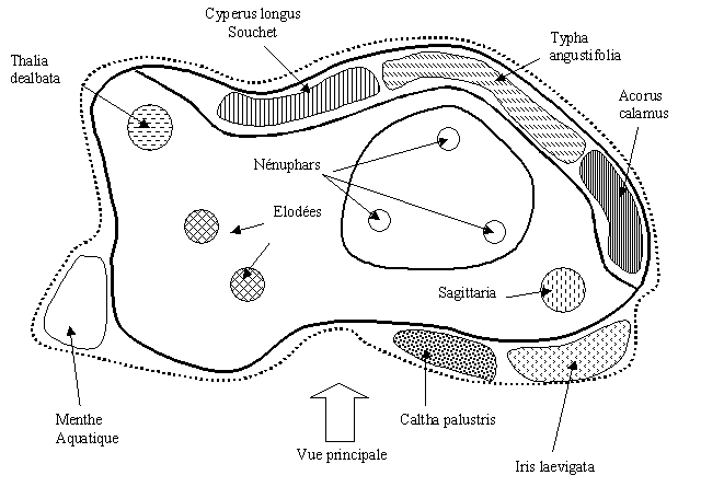 Aménagement de bassin d'agrément