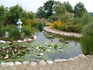 Nature Bassin::La mare et le bassin de jardin naturel. Conseils pour réaliser,