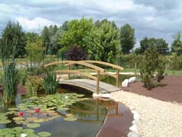 Pont bois gardes corps courbé