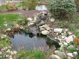 Créer un bassin de jardin Côté Maison