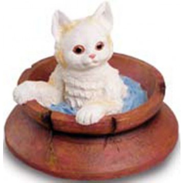 Chaton dans un pot