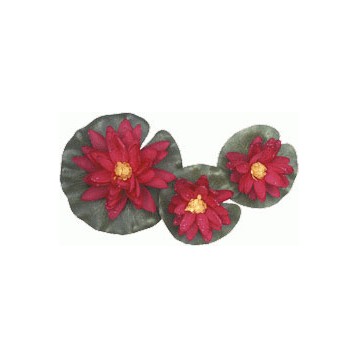 Nénuphar rouge 3 fleurs