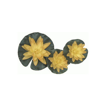 Nénuphar jaune 3 fleurs