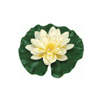 Nénuphar jaune