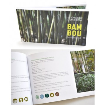 Livre Bambou