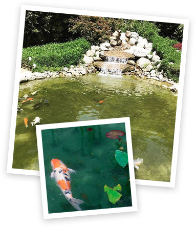 Vous souhaitez faire entretenir votre bassin ?