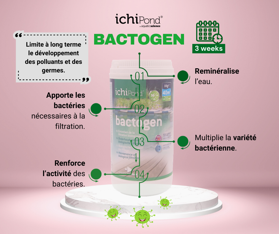 Bactogen pour bassin de jardin 