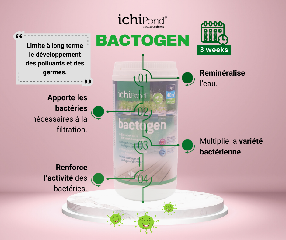 Bactogen bacteries pour bassin de jardin 