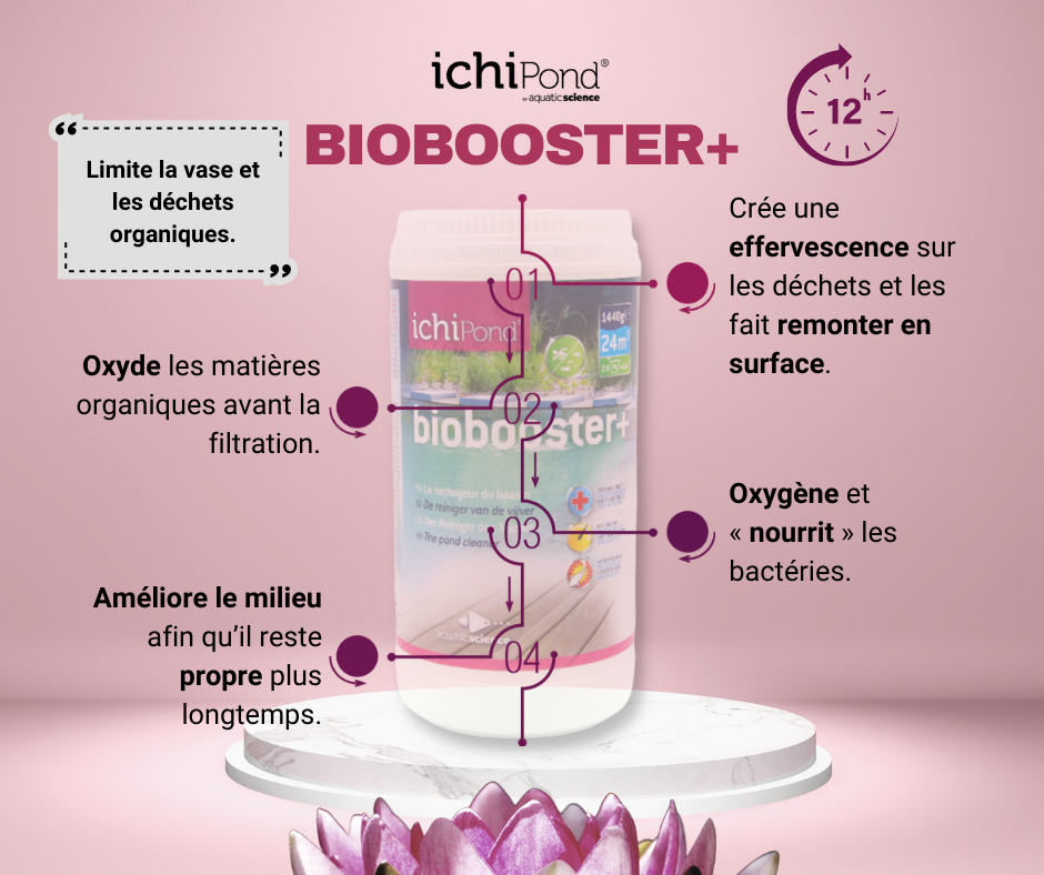 NETTOYER LE BASSIN : BIOBOOSTER + 