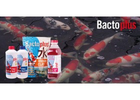 BACTOPLUS 