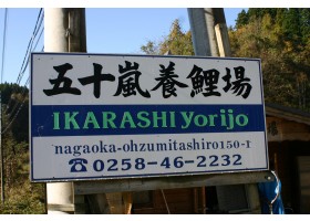 IKARASHI 