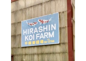 HIRASHIN