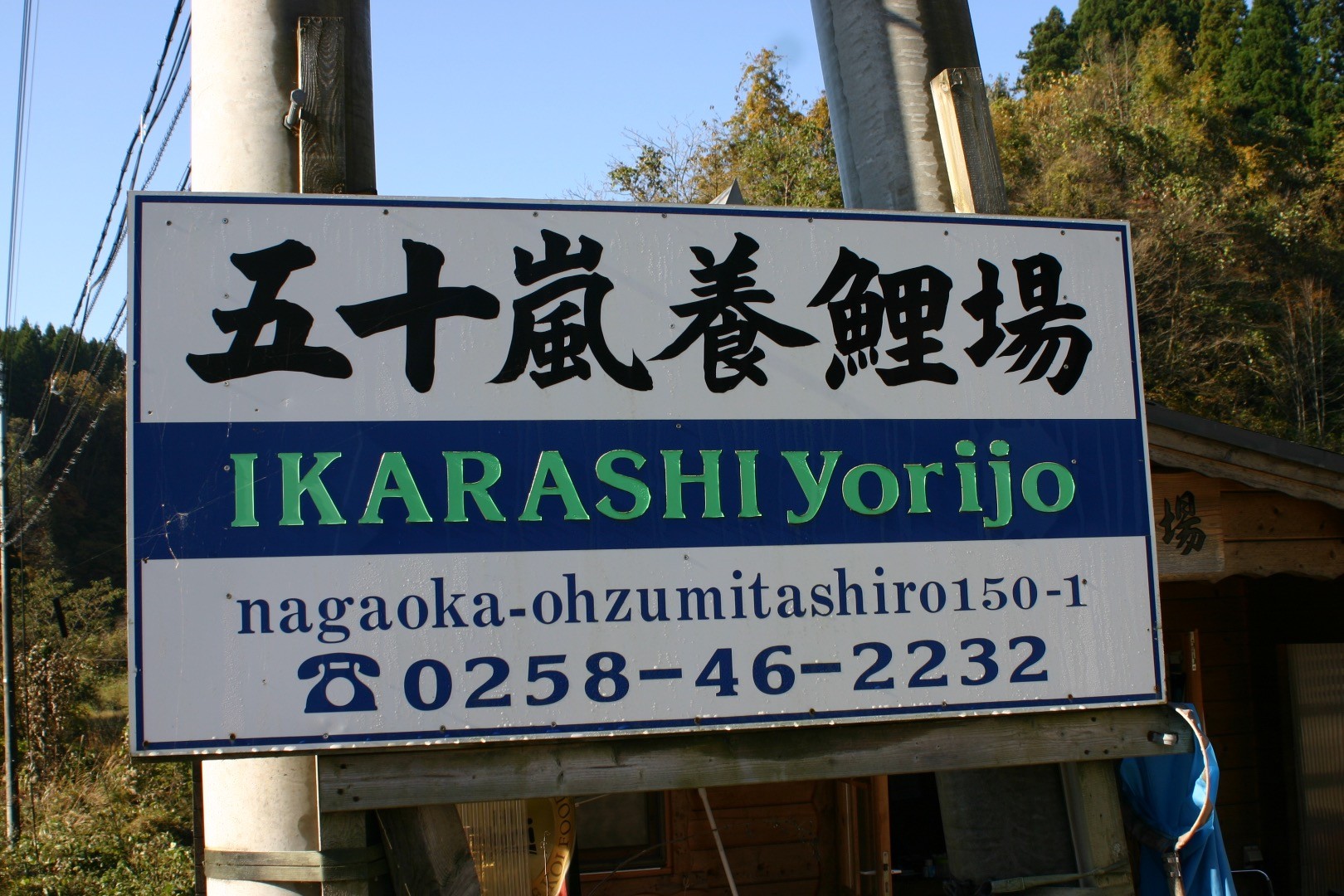 Marque IKARASHI 