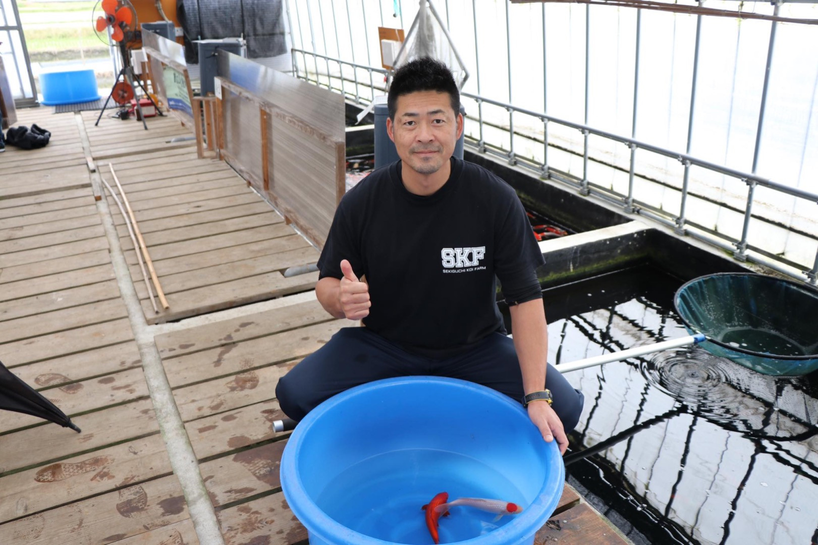 Marque SEKIGUCHI KOI FARM
