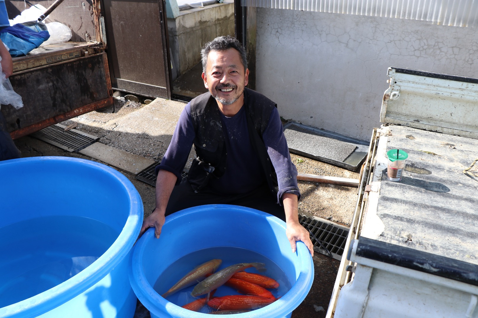 Marque MARUHIRO KOI FARM