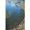 ECOLAT 19 CM  LE ML