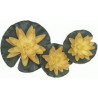 Nénuphar jaune 3 fleurs