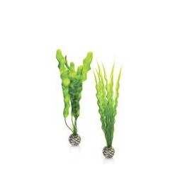 Décor Aquarium BIORB Set de Plantes Moyennes Vertes