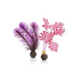 Décor Aquarium BIORB Set de Petites Plantes Roses