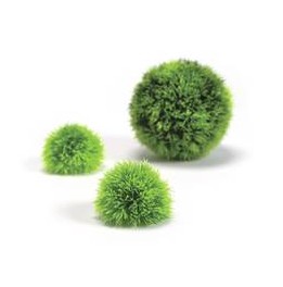 Décor Aquarium BIORB Set de 3 Balles Topiaires Vertes