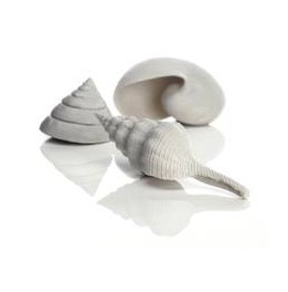 Décor Aquarium BIORB Set de 3 Coquillages Blancs