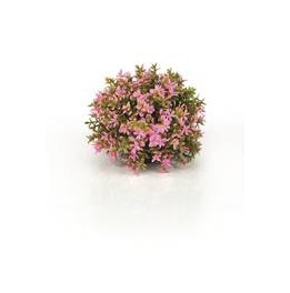 Décor Aquarium BIORB Boule Topiaire Rose