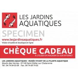 Chèque cadeau 150 Euros