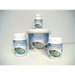 Lac + 500 g / 2.5 m3 bactéries anti-algues
