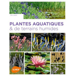 PLANTES AQUATIQUES ET DE TERRAINS HUMIDES