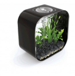 Aquarium BIORB Life 30 MCR Noir 30 L