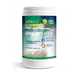 OXYGEN VITAL 12000