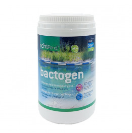 Bactogen 24000 Bactéries et Anti-vase