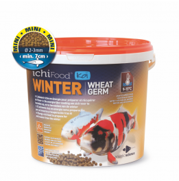 Nourriture Ichi Food Winter 1 Kg en 2 mm pour carpes Koï et poissons