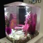 Aquarium BIORB Flow 15 MCR Blanc 15 L 