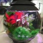 Aquarium BIORB Halo 15 MCR Gris 15 L