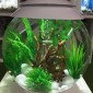 Aquarium BIORB Halo Blanc 15 MCR 15 L