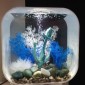 Aquarium BIORB Life 15 MCR Blanc 15 L