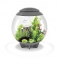 AQUARIUM BIORB HALO 60 MCR GRIS 60 LITRES