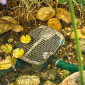 Pompe Oase AquaMax Eco Premium 21000