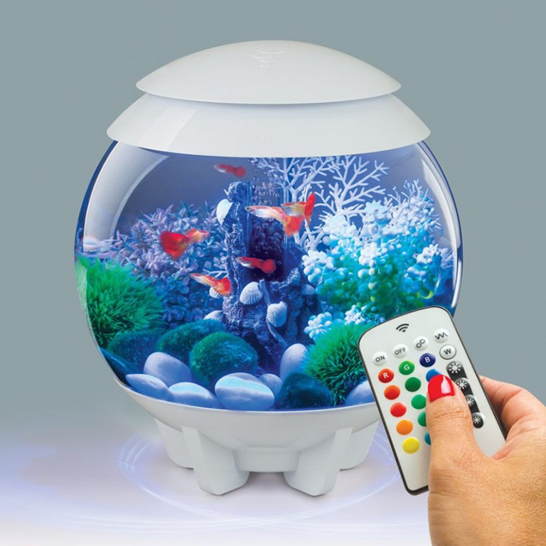 Детский аквариум купить. Ночник аквариум gl118. Аквариум с искусственными рыбками. Маленький аквариум. Небольшой аквариум с рыбками.