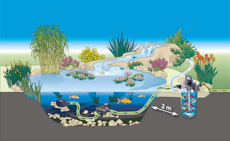 filtre bassin oase filtoclear 6000