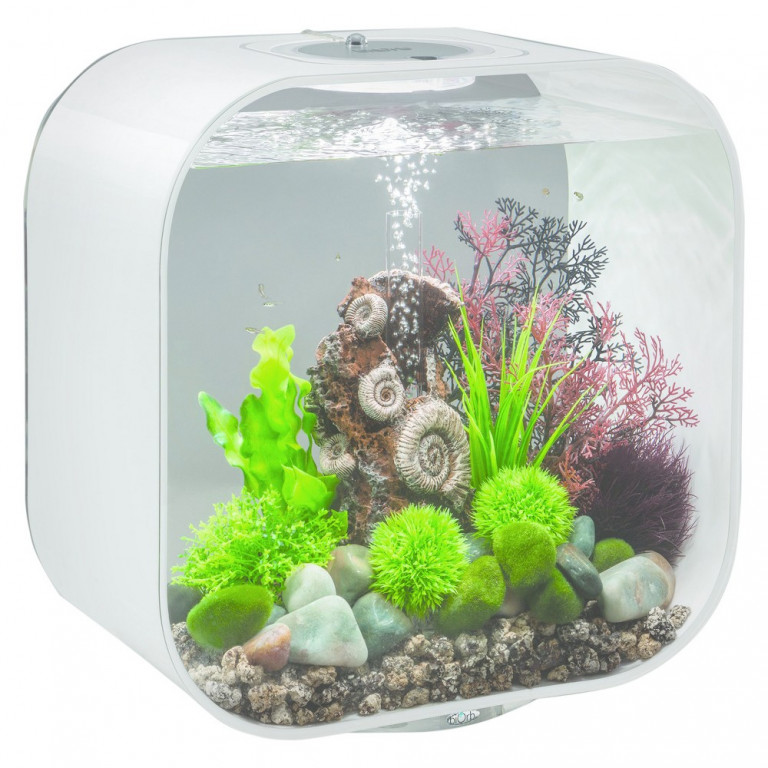 lumiere aquarium biorb
