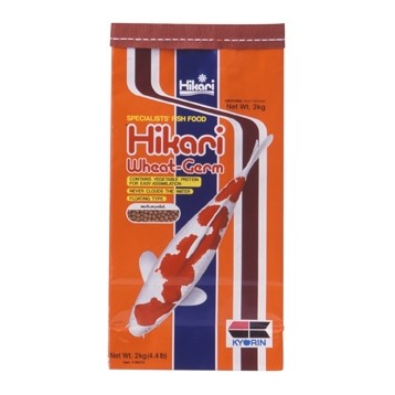 Aliment Hikari Wheat Germ Medium 2 Kg pour carpes Koï et poissons