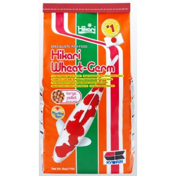 Nourriture Hikari Wheat Germ large en 5 kg