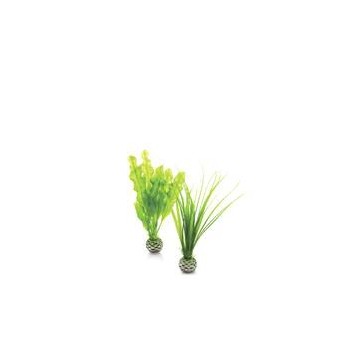 Décor Aquarium BIORB Set de Plantes Vertes