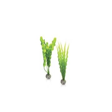 Décor Aquarium BIORB Set de Plantes Moyennes Vertes