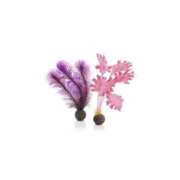 Décor Aquarium BIORB Set de Petites Plantes Roses