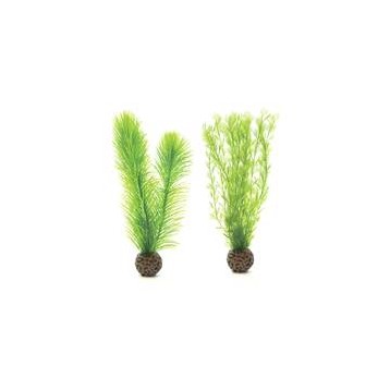 Décor Aquarium BIORB Set de Petites Plantes Vertes