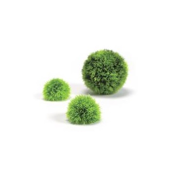 Décor Aquarium BIORB Set de 3 Balles Topiaires Vertes